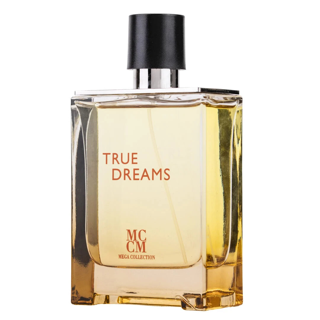 Apa de Parfum True Dreams, Mega Collection, Barbati - 100ml